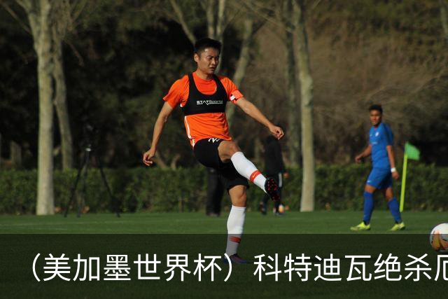 （美加墨世界杯）科特迪瓦绝杀厄瓜多尔 瑞典5:1大胜突尼斯